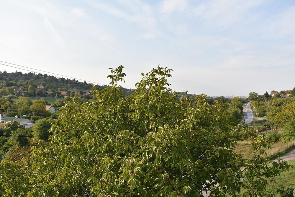 Fruskogorska Terasa Apartment Novi Sad Bagian luar foto